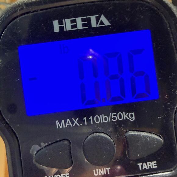 Boy Scouts of America BSA Venturing Shirt M Green Sewn Patches Explorer Summit - Picture 14 of 14